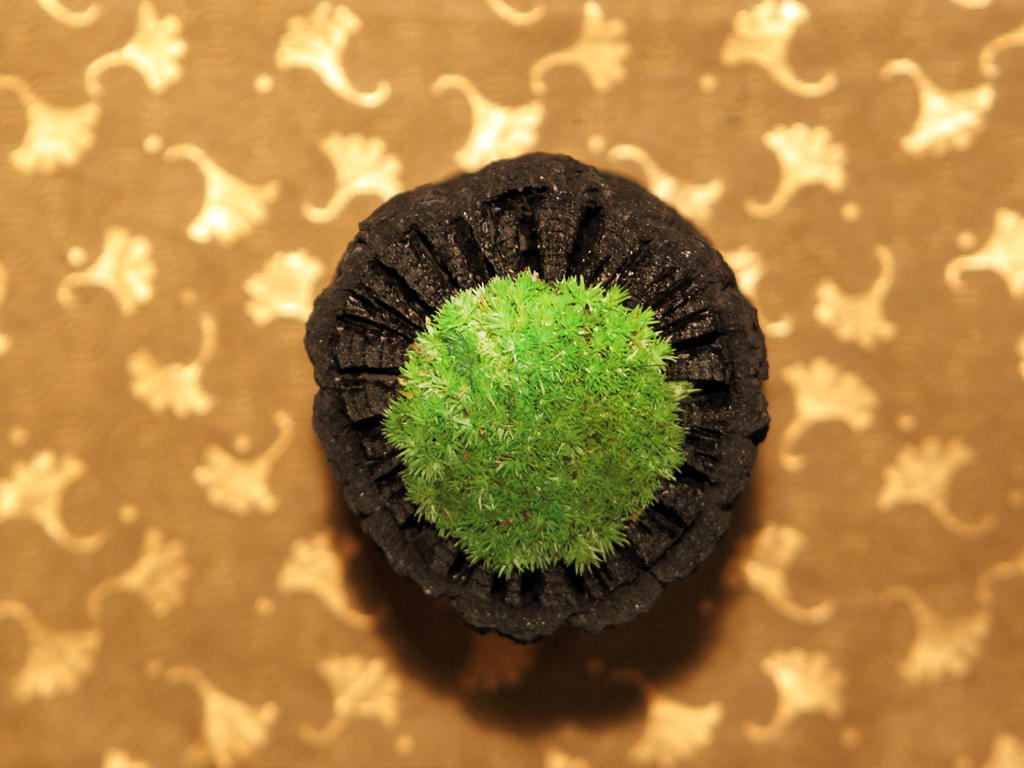 Asaya Hotel Nikko Eksteriør billede A green Starburst